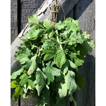 Dried Hand Made Sauna Whisk / Sauna Vihta - Oak & Mint Sauna Whisks / Sauna Vihta | Finnmark Sauna