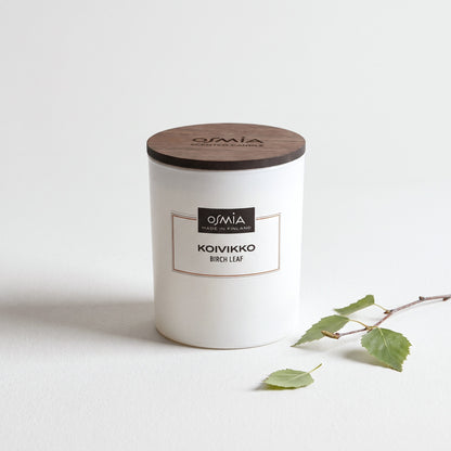 Birch Leaf Scented Candle (Koivikko) by Osmia with birch twig