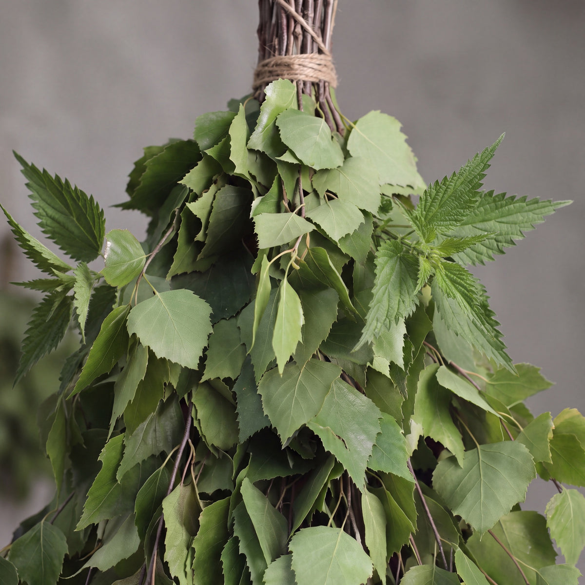 Sauna Whisk Birch & Nettle - leaf detail