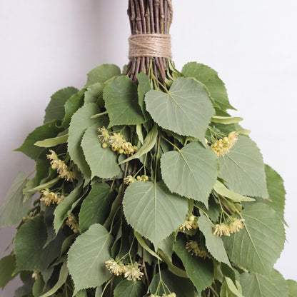 Sauna Whisk Linden - leaf detail