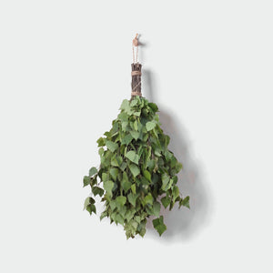 Rento Sauna Whisks / Sauna Vihta - Birch