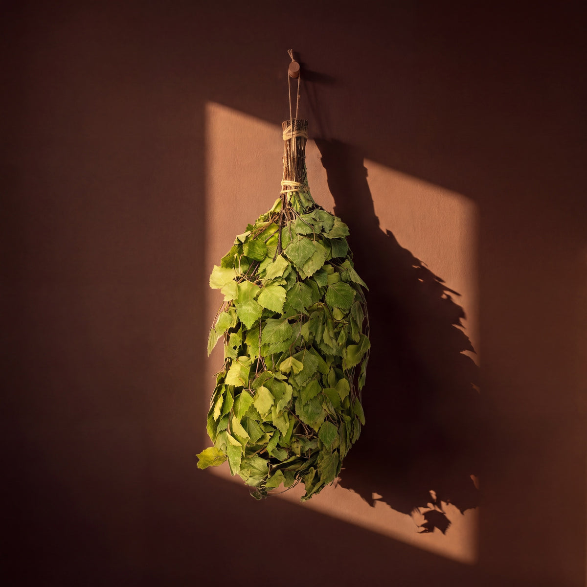 Sauna Whisk Rento Birch - lifestyle in sunlight