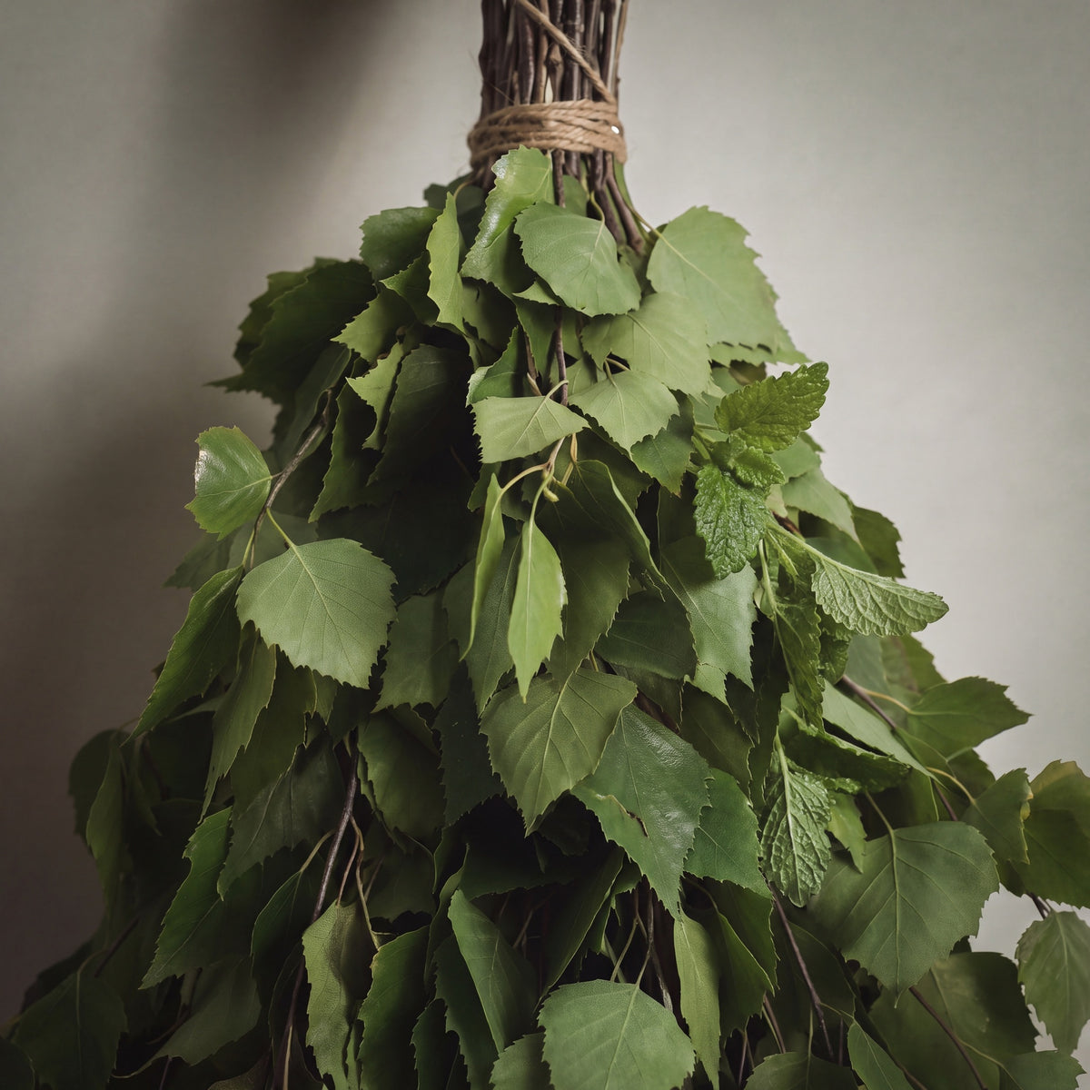 Sauna Whisk Birch & Lemon Balm - leaf detail