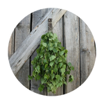 Sauna Whisks