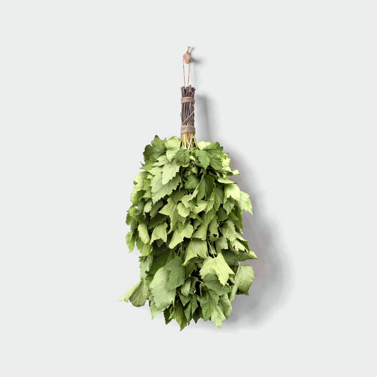 Sauna Whisk Black Currant - hero