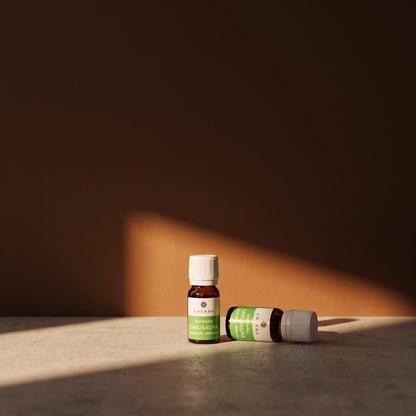 Emendo Smoke Sauna Scent (10ml) - lifestyle in sunlight