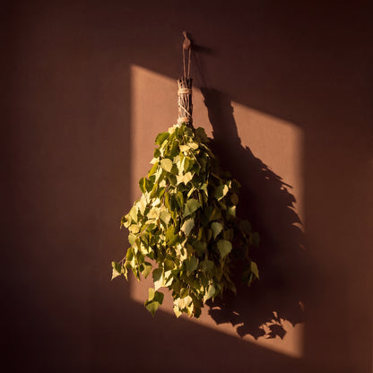 Sauna Whisk Birch - lifestyle in sunlight