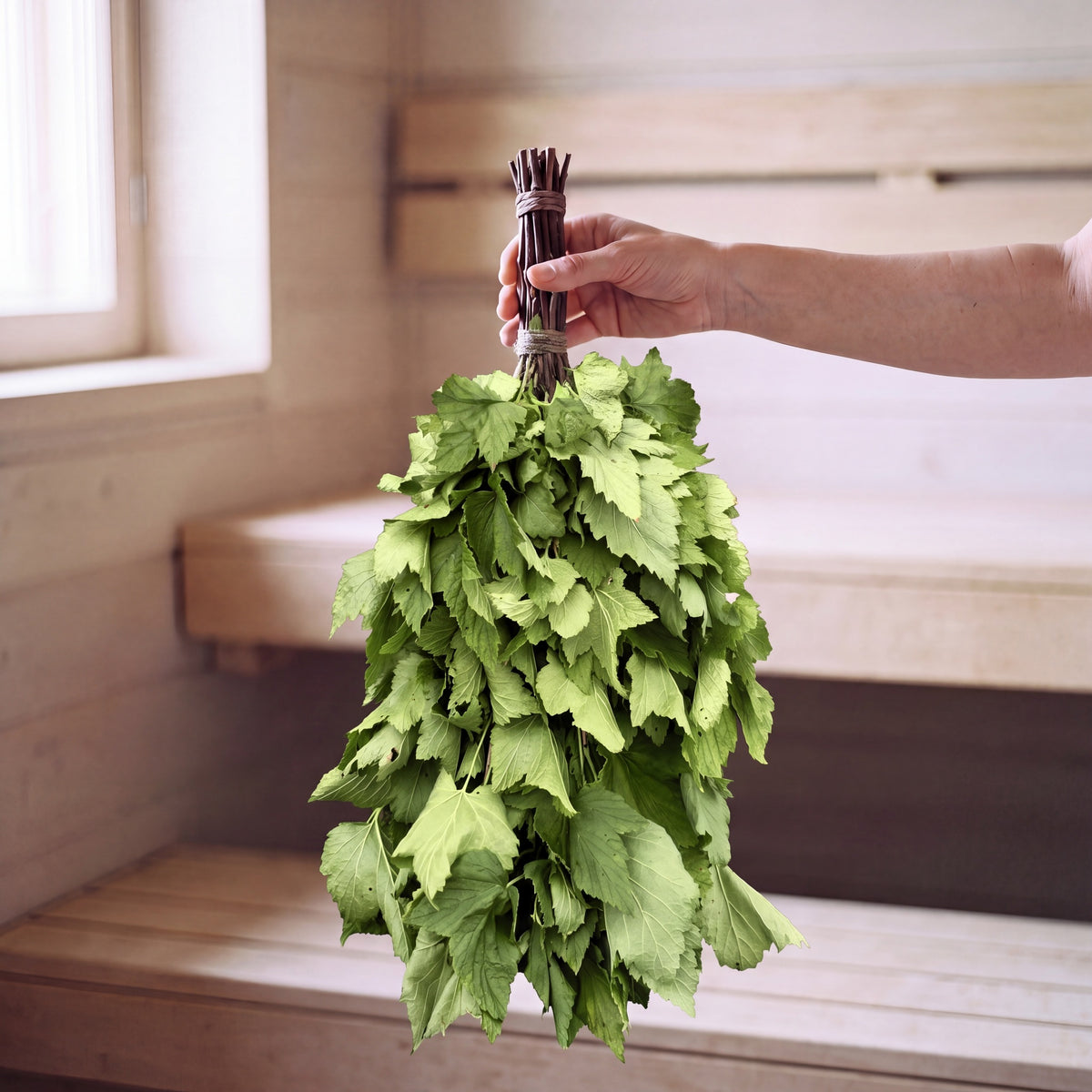 Sauna Whisk Black Currant - held in the sauna