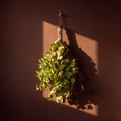 Sauna Whisk Birch & Lemon Balm - lifestyle in sunlight