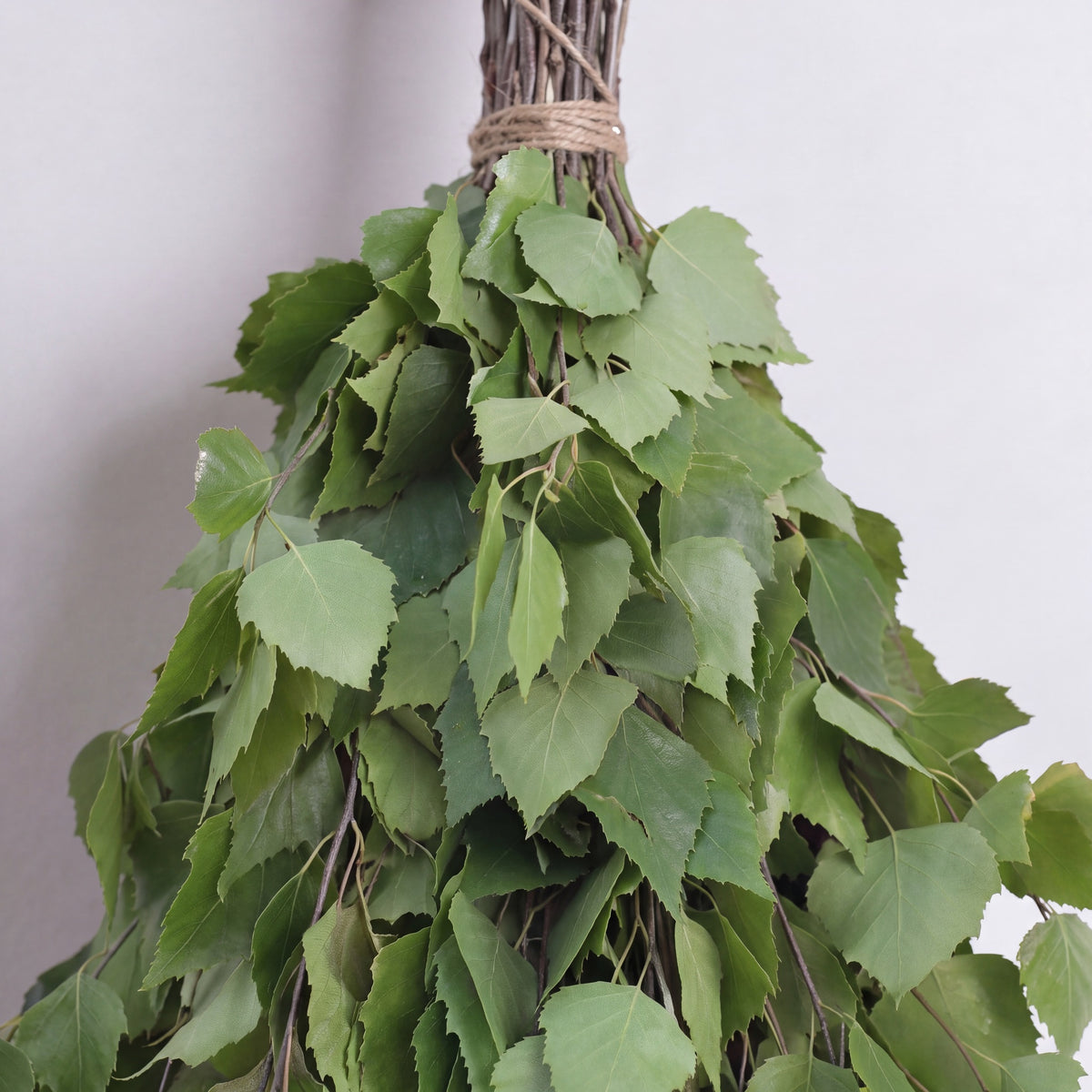 Sauna Whisk Birch - leaf detail
