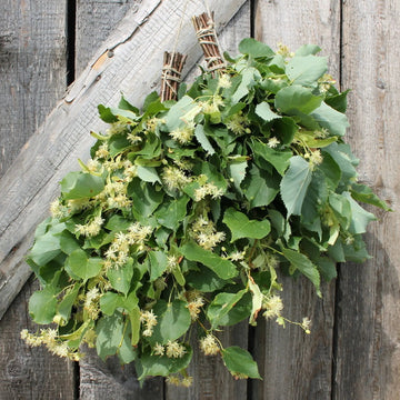 Dried Hand Made Sauna Whisk / Sauna Vihta - Linden