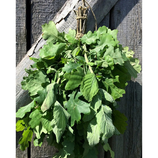 Dried Sauna Whisk / Sauna Vihta - Oak & Mint Sauna Whisks / Sauna Vihta | Finnmark Sauna